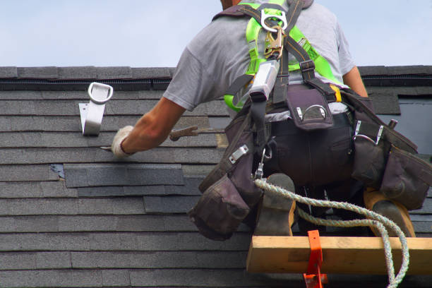 Best Roof Waterproofing Services  in Madison Heights, VA