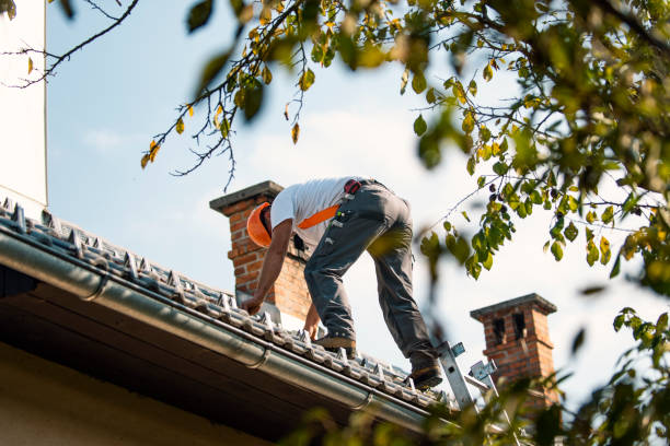 Best Affordable Roofing Company  in Madison Heights, VA