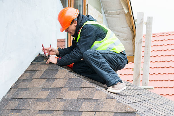 Best Gutter Installation and Roofing  in Madison Heights, VA