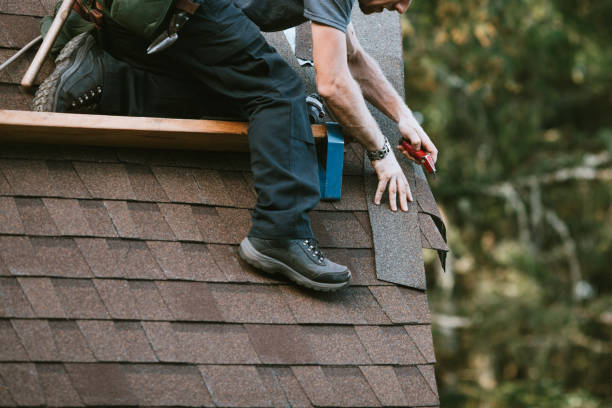 Best Roof Gutter Cleaning  in Madison Heights, VA