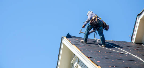 Best Roof Maintenance Services  in Madison Heights, VA